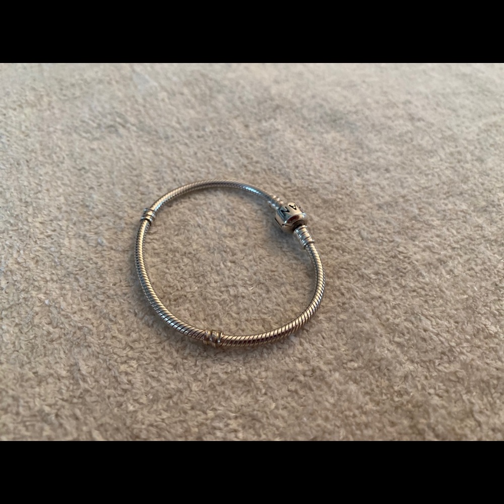 Pandora Moments Snake Bracelet